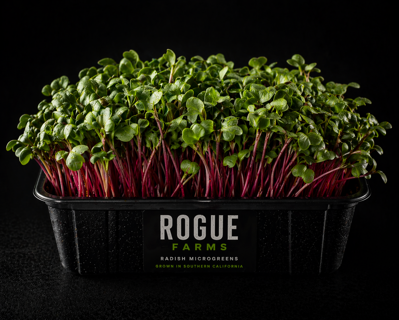 Rogue Farms radish microgreens tray ready for chef use