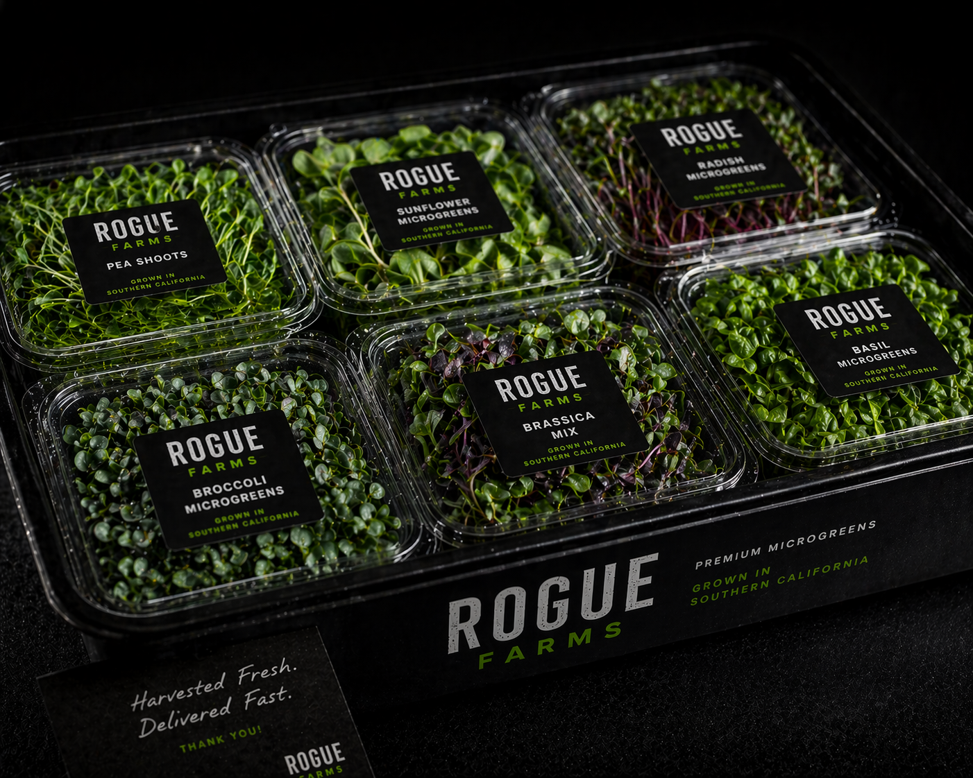 Chef sample pack with multiple Rogue Farms microgreen varieties